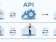 What does API mean?