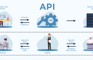 What does API mean?